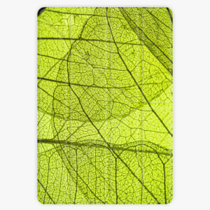 Pouzdro iSaprio Smart Cover - Leaves - iPad 9.7″ (2017-2018)