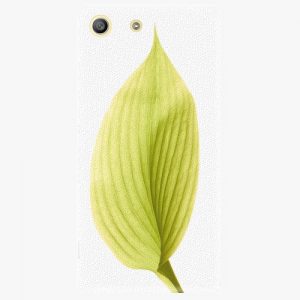 Plastový kryt iSaprio - Green Leaf - Sony Xperia M5